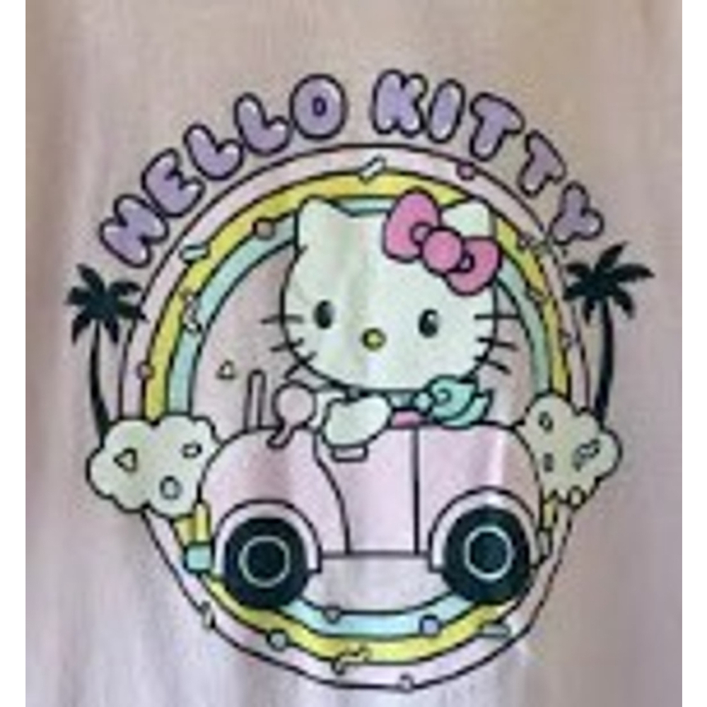 Hello Kitty Pink Living The Dream T Shirt Adult Large Women's - Picture 2 of 4
